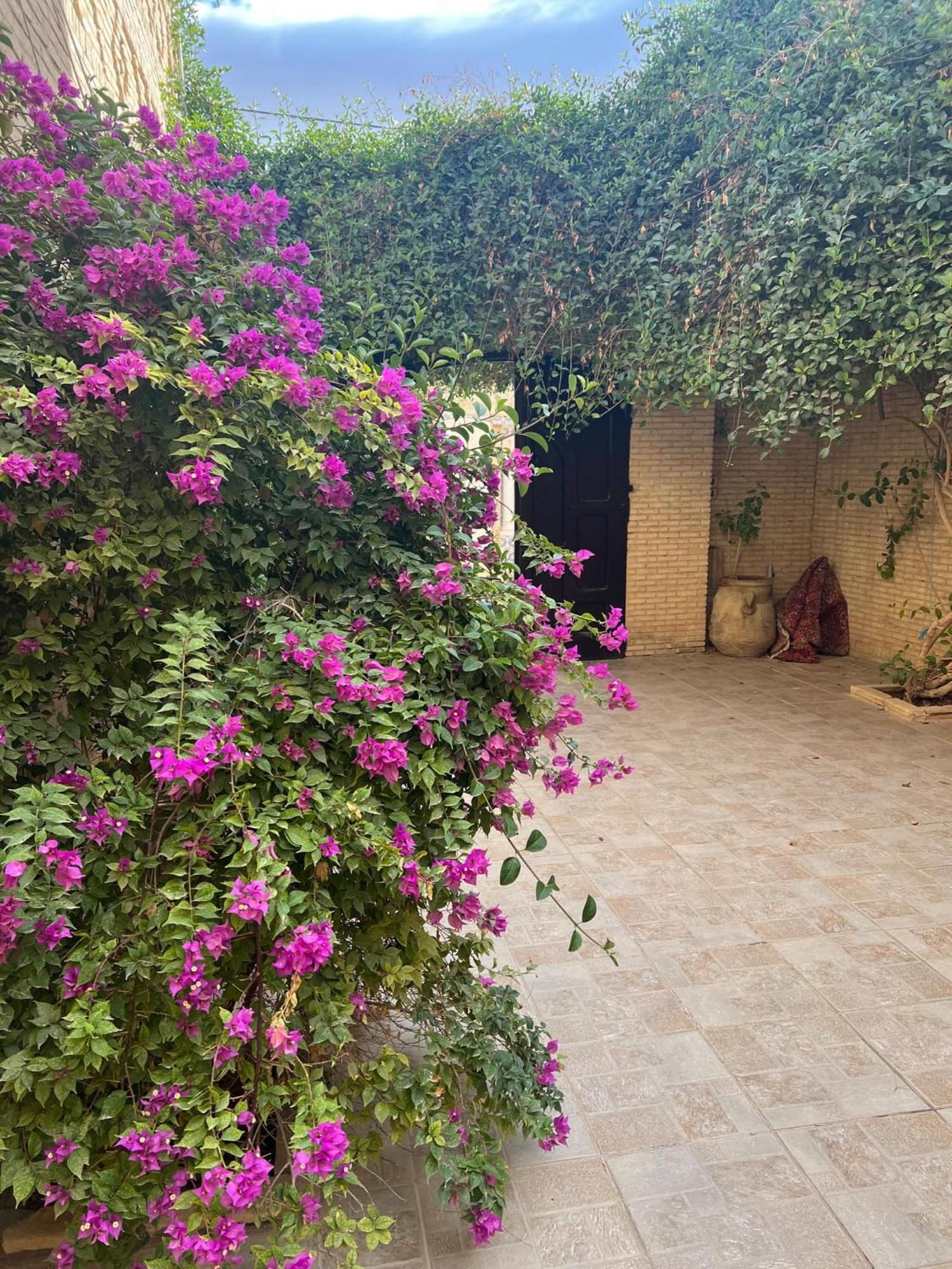 Residence Tozeur Almadina Exterior photo